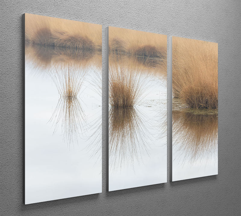 Piping Straw 3 Split Panel Canvas Print showcasing three elegant canvases with a cohesive design, perfect for home or office decor.