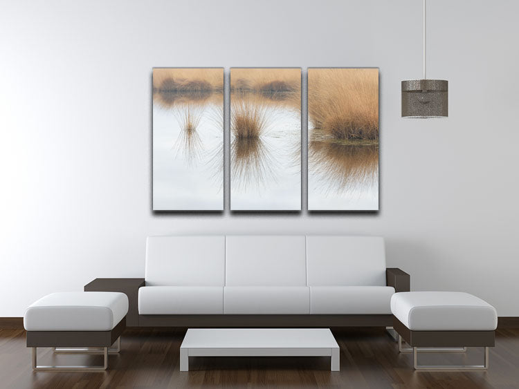 Piping Straw 3 Split Panel Canvas Print showcasing three elegant canvases with a cohesive design, perfect for home or office decor.