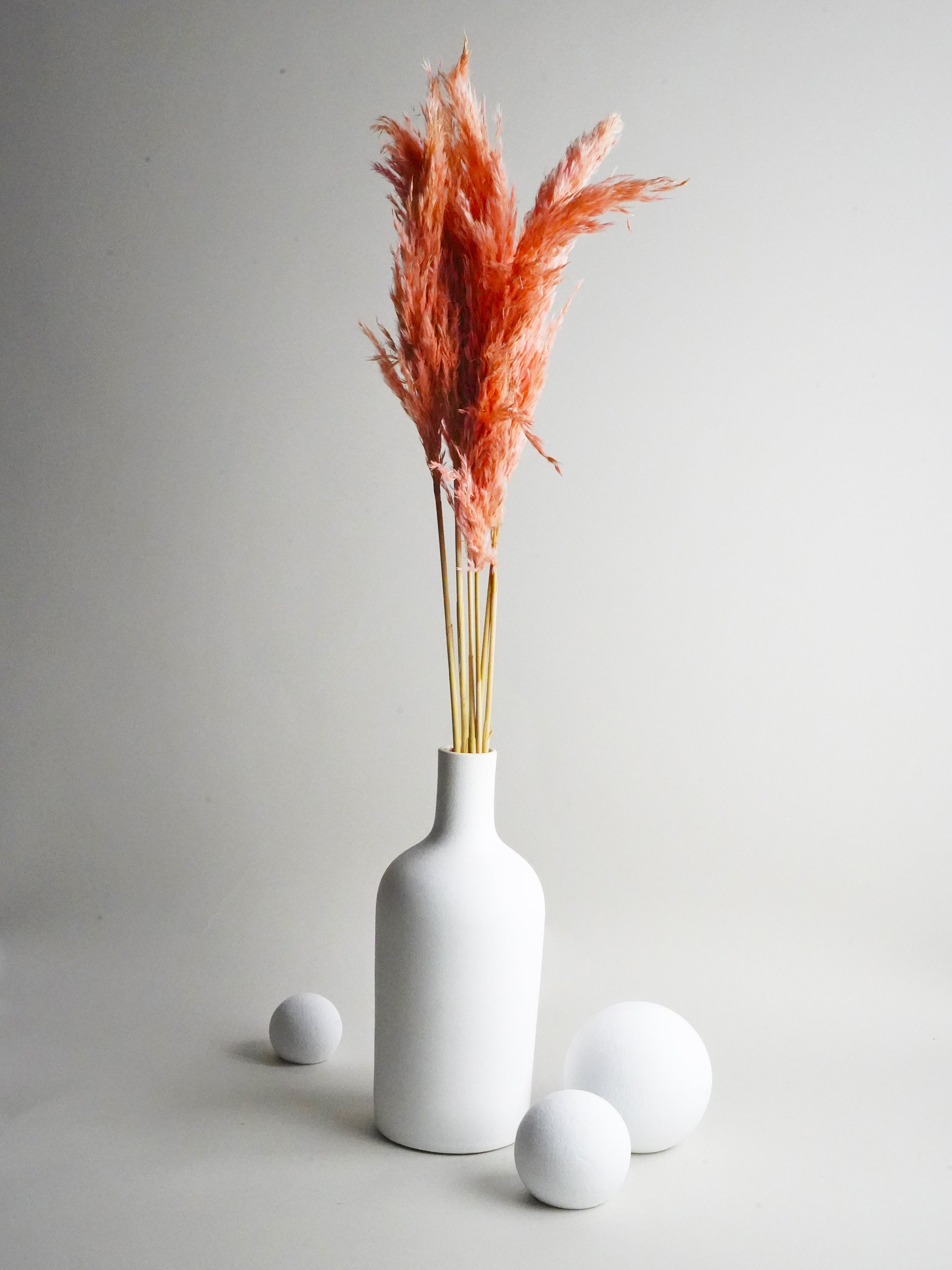 Pluma Pampa Seca - elegant preserved Pampas Grass stems in a decorative arrangement, showcasing their feathery texture and neutral tones.