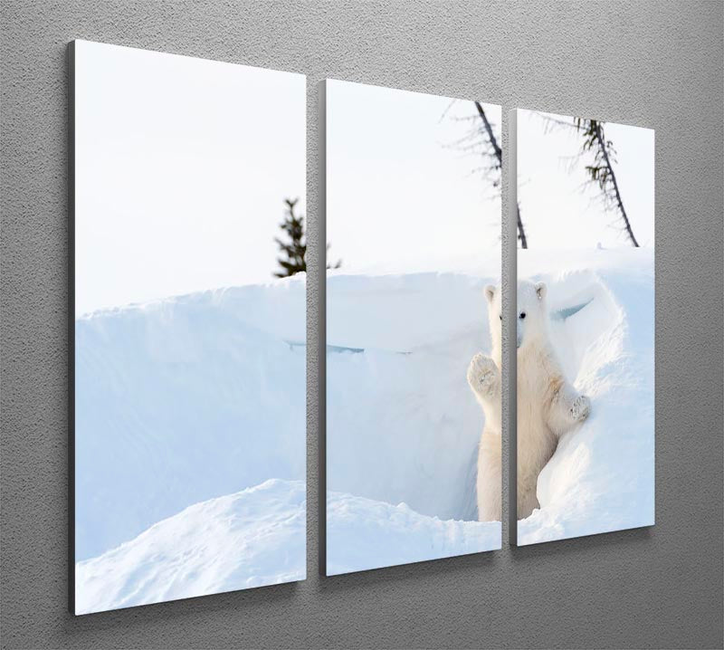 Three-panel canvas art featuring a polar bear cub emerging from its den, showcasing vibrant colors and intricate details.
