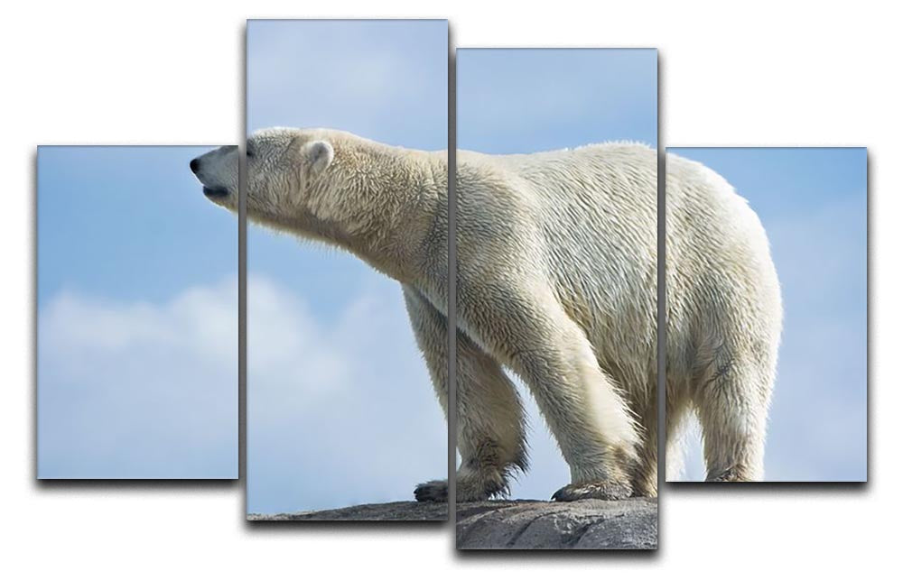 A beautiful 4-split canvas artwork featuring a polar bear walking on rocky terrain, showcasing vibrant colors and intricate details.