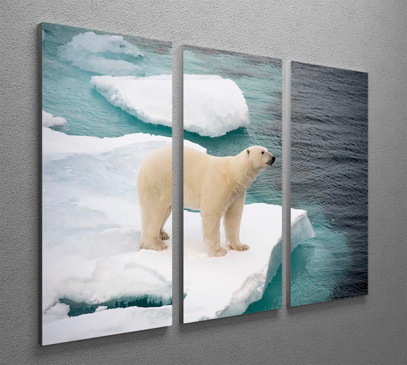 A stunning 3-panel canvas print featuring a polar bear walking on sea ice, showcasing the beauty of nature.