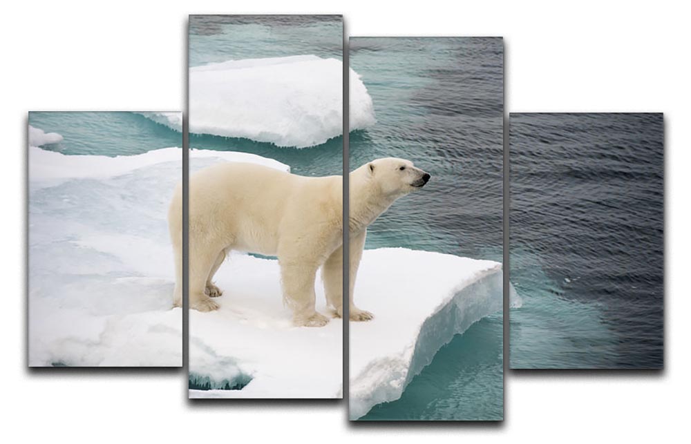A stunning 4-panel canvas artwork featuring a polar bear walking on sea ice, showcasing the beauty of nature.