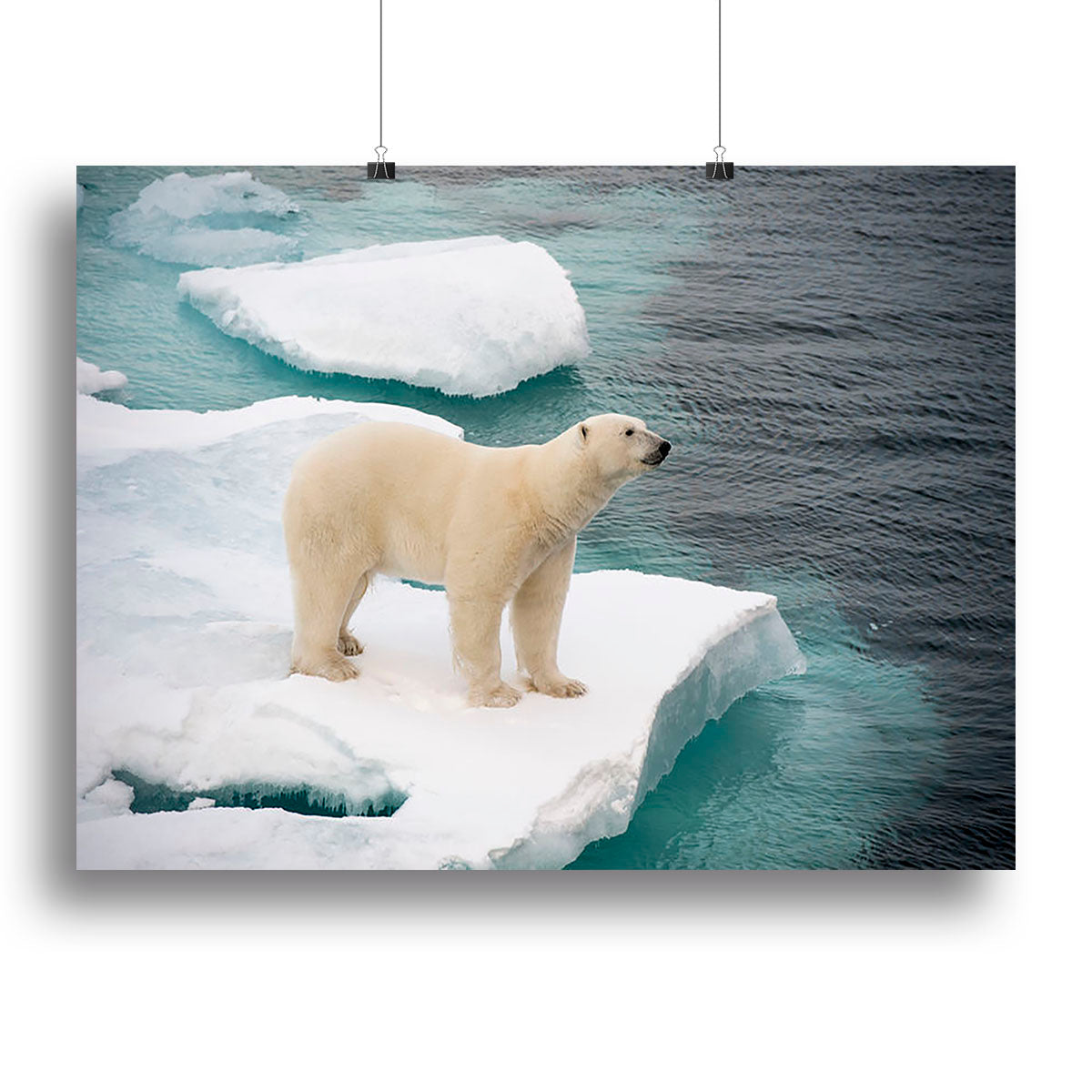 A beautiful canvas print of a polar bear walking on sea ice, showcasing the majestic animal in its natural habitat.
