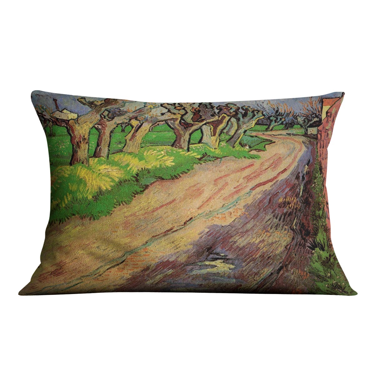 Pollard Willows by Van Gogh Cushion featuring vibrant colors and abstract design on luxurious vegan faux suede.