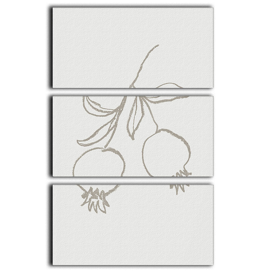 A beautiful 3-panel canvas print featuring pomegranate green design, perfect for home decor.
