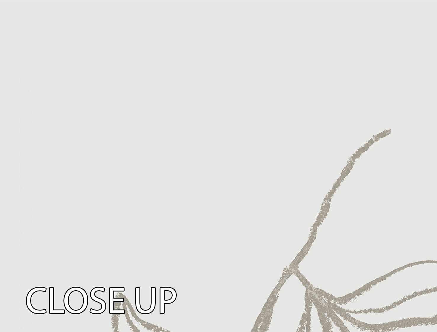 A beautiful 3-panel canvas print featuring pomegranate green design, perfect for home decor.