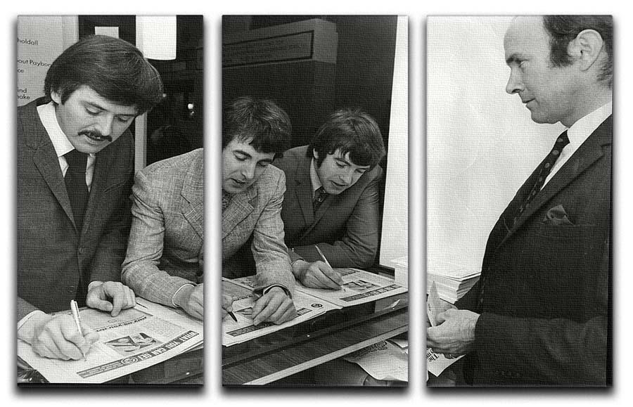 The Bachelors 3 Split Panel Canvas Print featuring three high-quality canvases with a cohesive design, perfect for home decor.