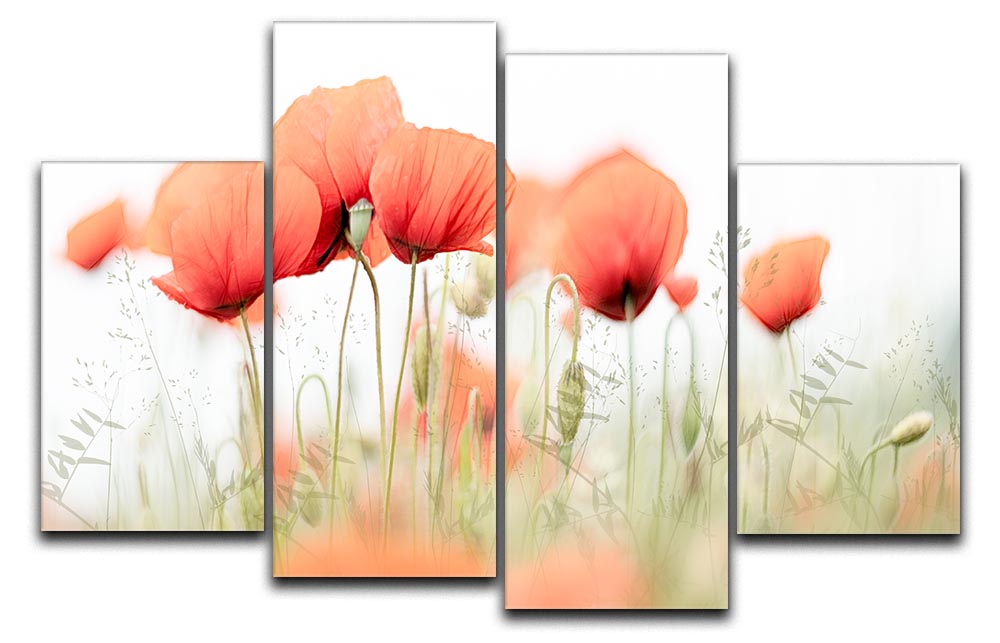 A vibrant 4-panel canvas artwork featuring poppies on a summer day, showcasing bright colors and a dynamic split design.