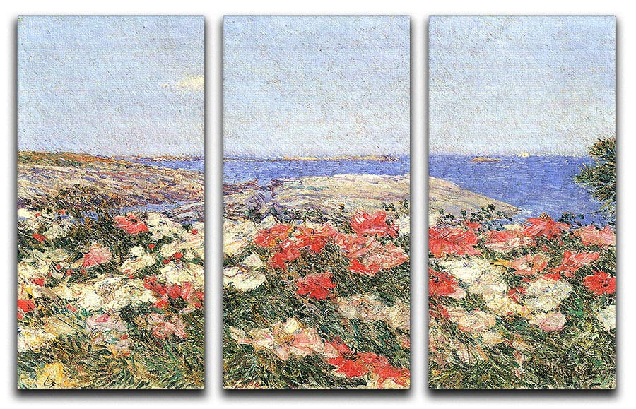 A beautiful 3-panel canvas print featuring vibrant poppies on the Isles of Shoals, perfect for home decor.