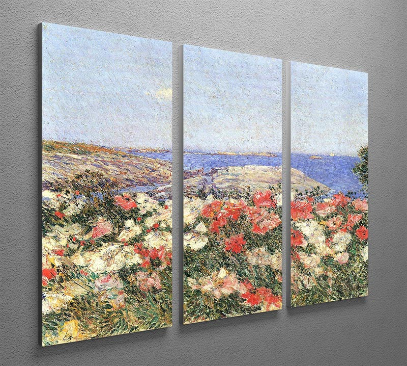 A beautiful 3-panel canvas print featuring vibrant poppies on the Isles of Shoals, perfect for home decor.