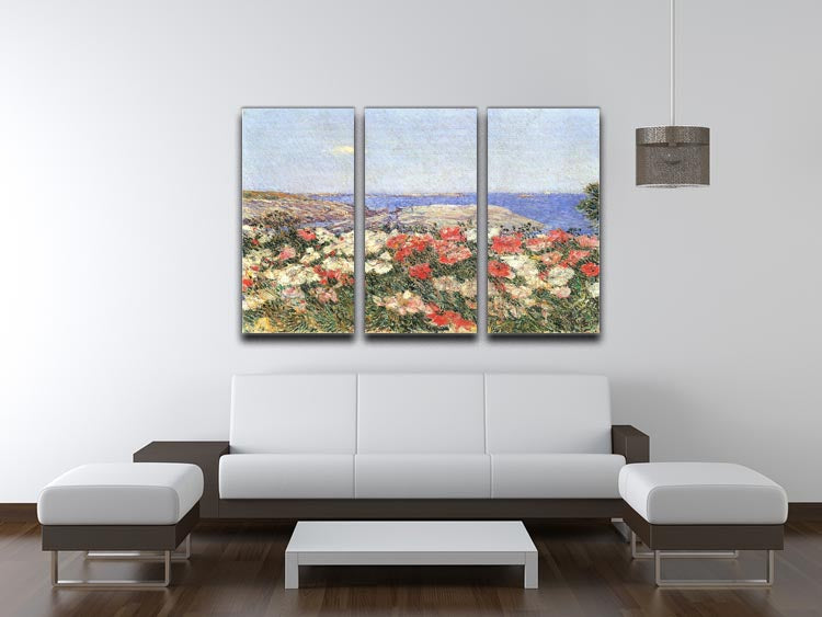 A beautiful 3-panel canvas print featuring vibrant poppies on the Isles of Shoals, perfect for home decor.