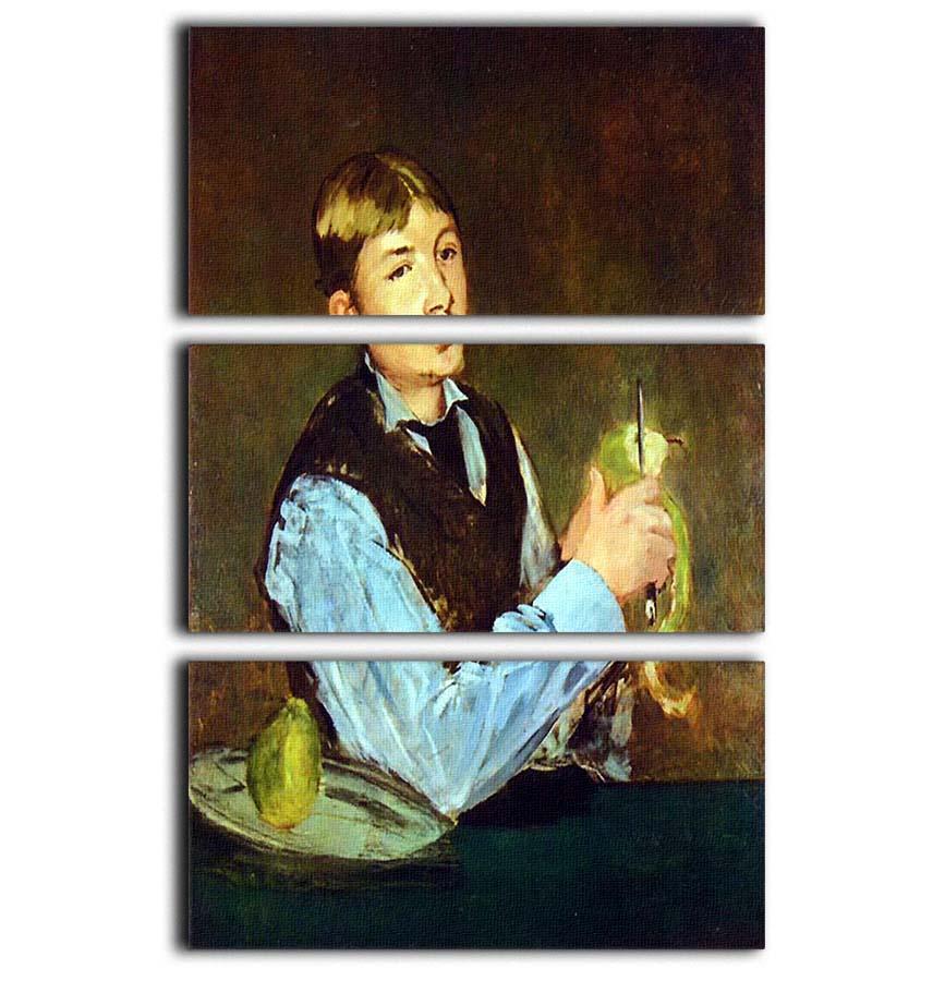 A stunning 3-panel canvas print featuring the Portait of Leon Leenhoff by Manet, showcasing vibrant colors and intricate details.