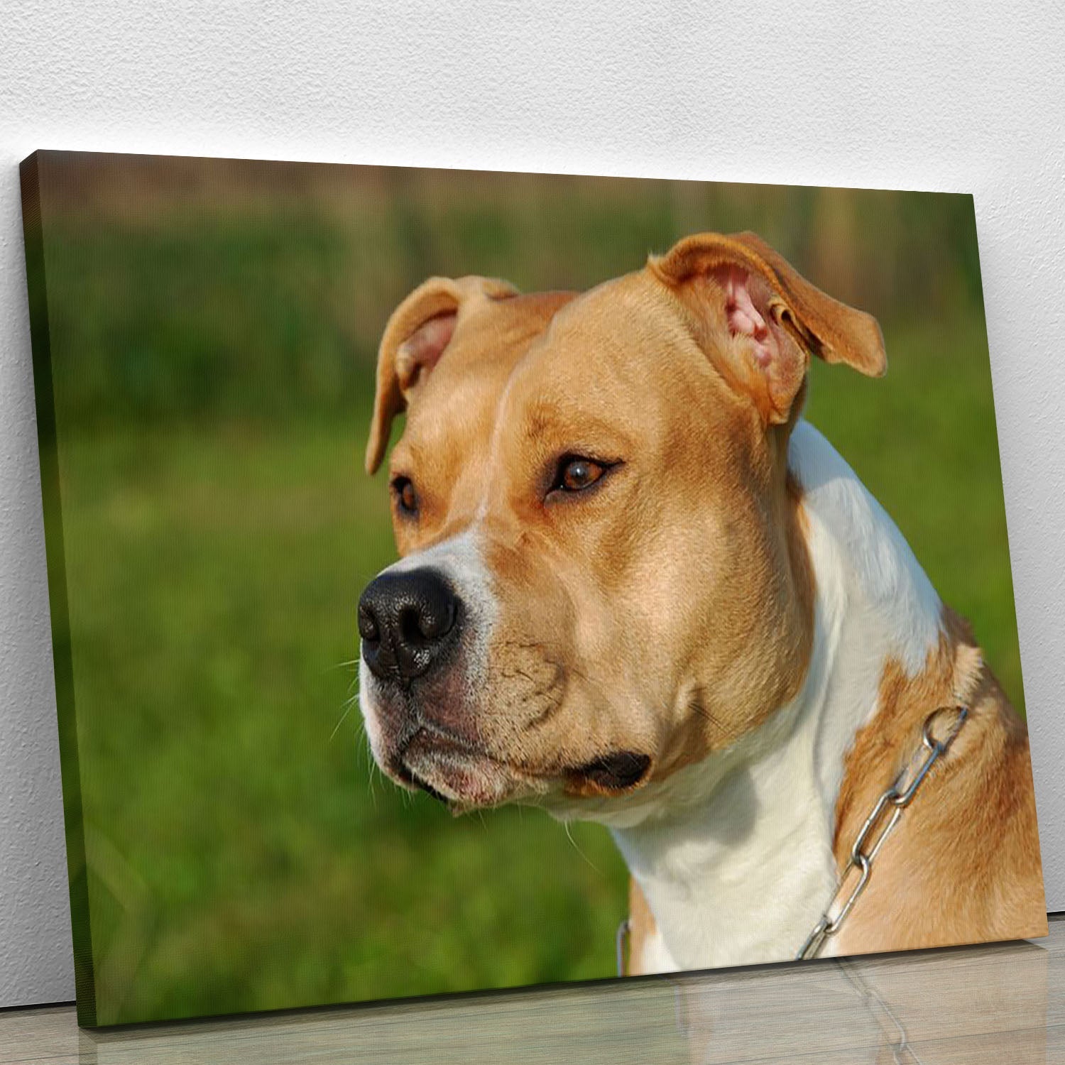 A beautiful female purebred American Staffordshire Terrier portrait, showcasing its elegant features and vibrant colors on canvas.