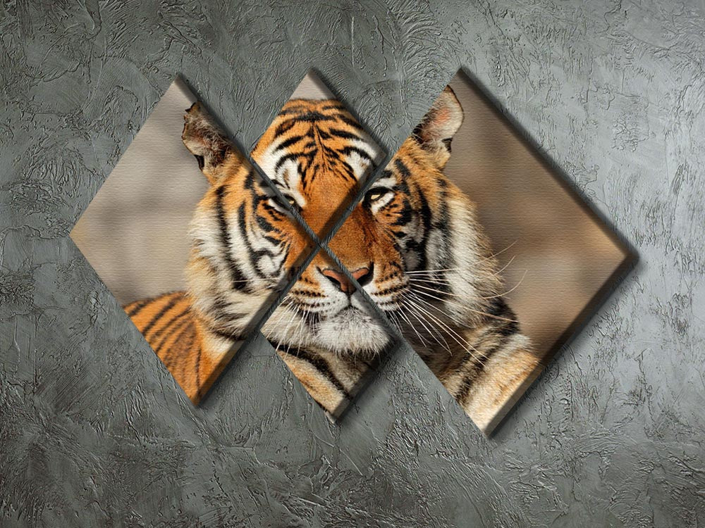A stunning multi-panel canvas artwork featuring a Bengal tiger, divided into four equal square sections, showcasing vibrant colors and intricate details.