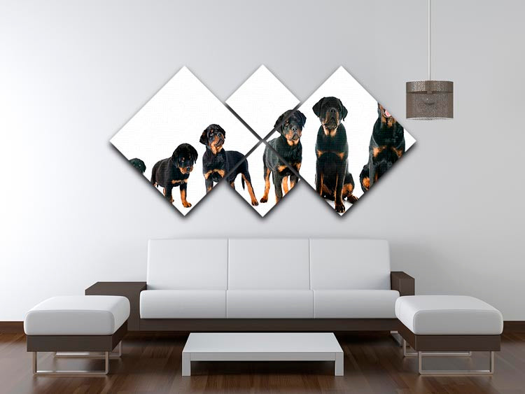 A stunning multi-panel canvas featuring a purebred Rottweiler puppy, divided into four equal squares, showcasing vibrant colors and intricate details.