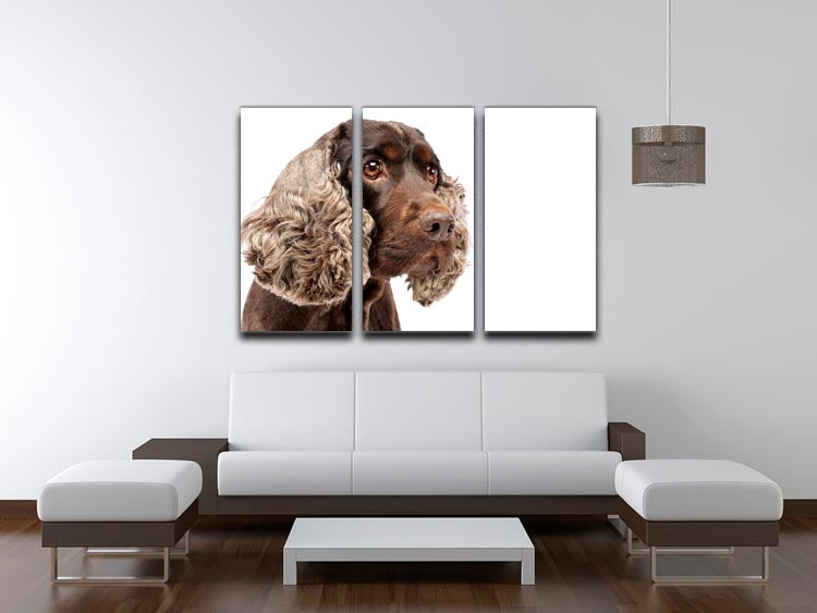 A beautiful 3-panel canvas featuring an adorable English Cocker Spaniel, perfect for home decor.