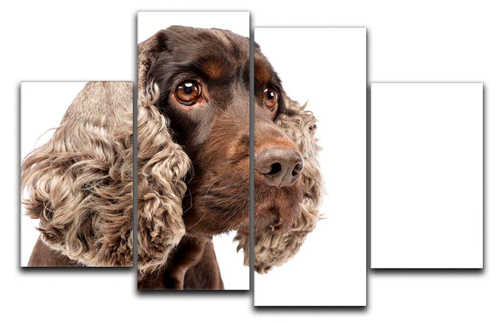 A charming portrait of an English Cocker Spaniel displayed on a 4-split canvas, showcasing the dog's playful expression and beautiful fur.