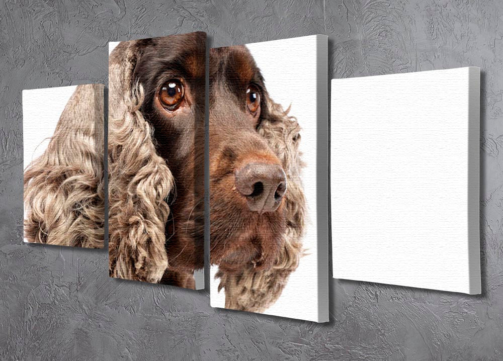 A charming portrait of an English Cocker Spaniel displayed on a 4-split canvas, showcasing the dog's playful expression and beautiful fur.