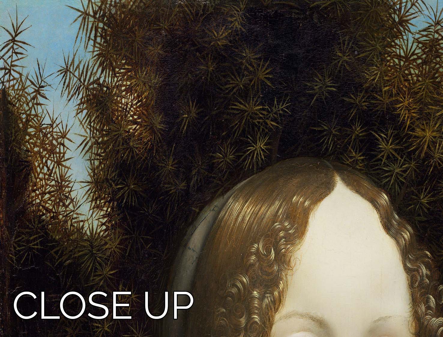 Three-panel canvas print of Da Vinci's Portrait of Ginevra de Benci, showcasing intricate details and vibrant colors.