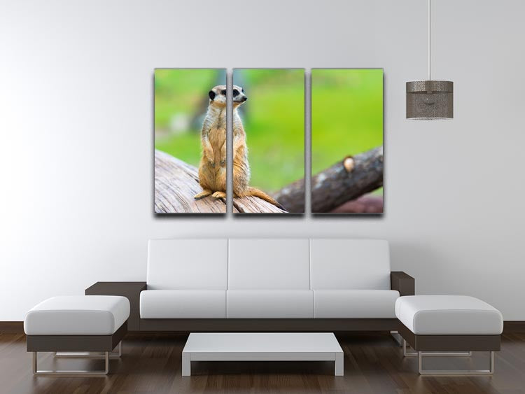 A beautiful 3-panel canvas print featuring a portrait of meerkats, showcasing their playful nature and intricate details.