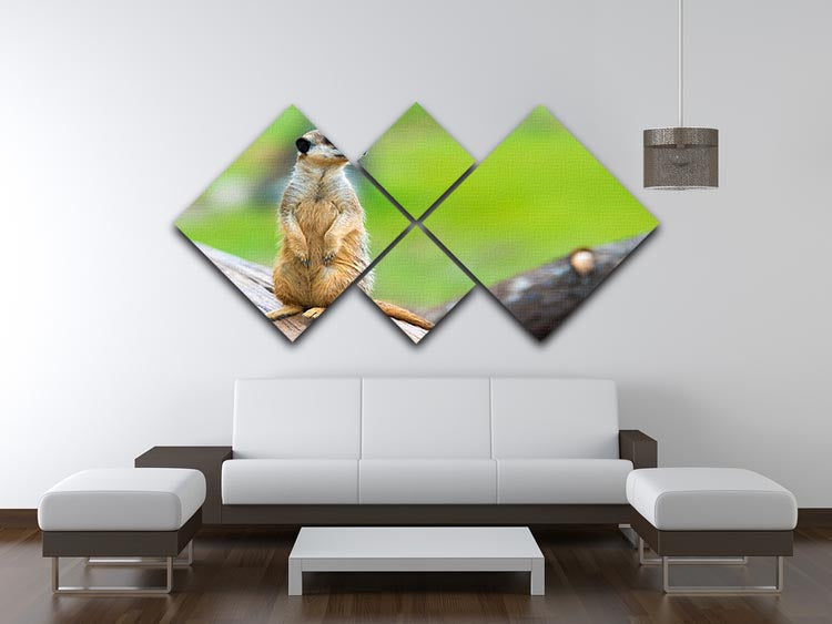 A captivating multi-panel canvas artwork featuring a portrait of a meerkat, divided into four equal square sections, showcasing vibrant colors and intricate details.