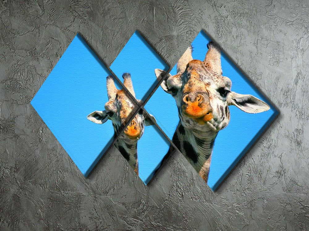A beautiful portrait of a mother giraffe and her baby, captured in a 4-square canvas format, showcasing their bond in a natural African setting.