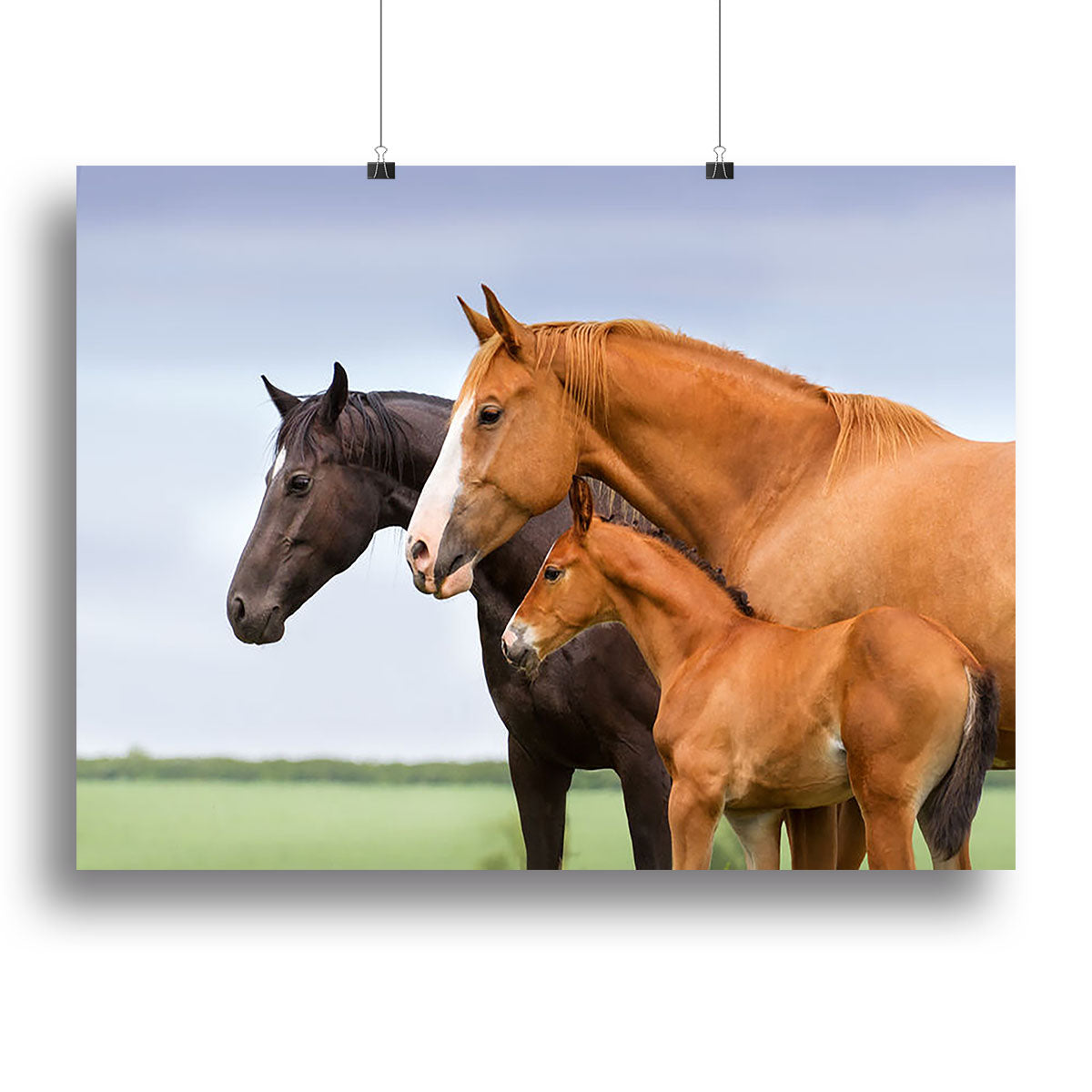 Canvas print featuring two mares and a foal in a lush pasture, showcasing their beauty and serenity.