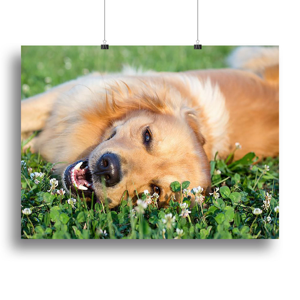 A vibrant canvas print of a young dog playing in a lush green meadow, showcasing the dog's playful spirit and the beauty of nature.