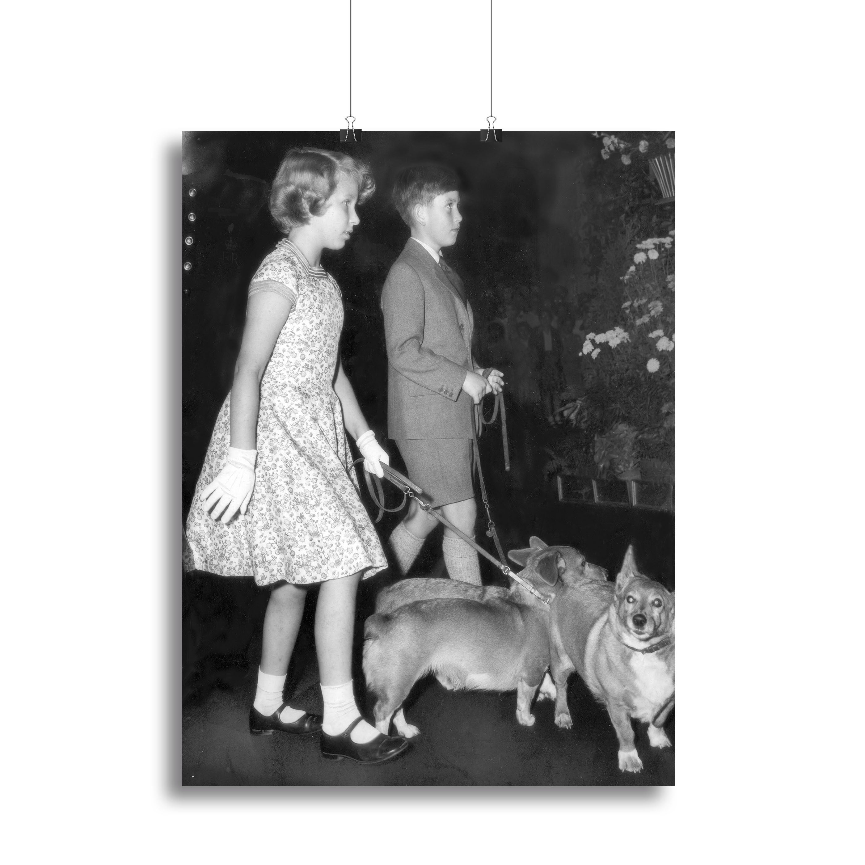 Canvas print of Prince Charles and Princess Anne as children with their pet dogs, showcasing a nostalgic royal moment.