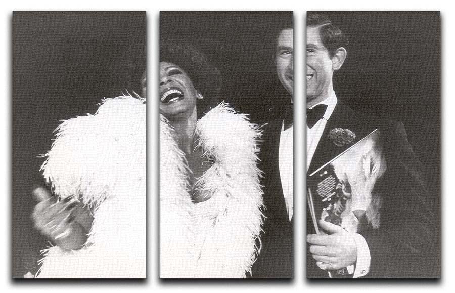 A stunning 3-panel canvas print featuring Prince Charles and Shirley Bassey, showcasing vibrant colors and intricate details.