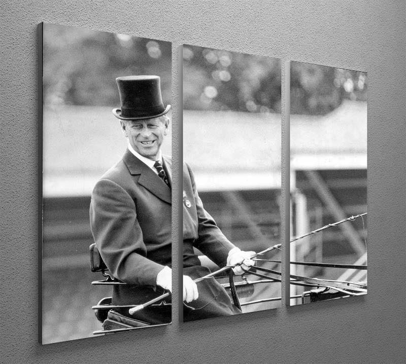 Three-panel canvas art featuring Prince Philip driving a carriage during a race at Ascot, showcasing vibrant colors and elegant design.
