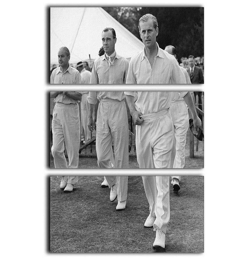 Three-panel canvas art featuring Prince Philip leading his cricket team onto the field, showcasing vibrant colors and detailed design.