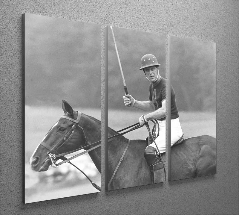 Three-panel canvas art depicting Prince Philip winning the polo Gold Cup, showcasing vibrant colors and detailed imagery.