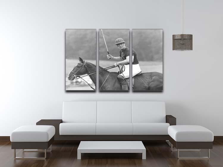 Three-panel canvas art depicting Prince Philip winning the polo Gold Cup, showcasing vibrant colors and detailed imagery.