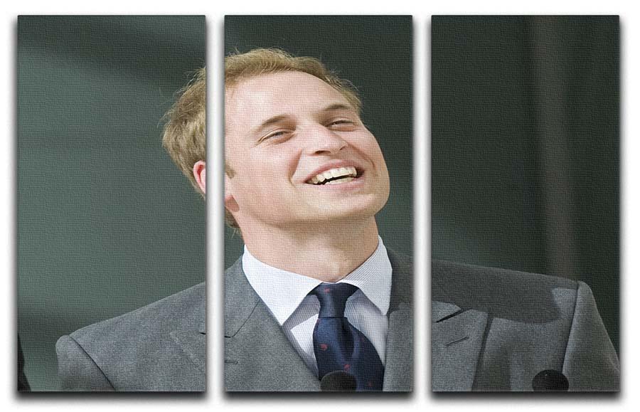 Three-panel canvas art featuring Prince William opening the Darwin Centre Museum, showcasing vibrant colors and elegant design.