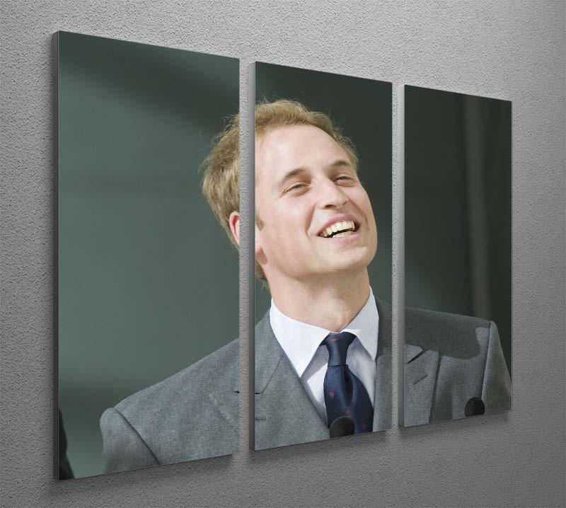 Three-panel canvas art featuring Prince William opening the Darwin Centre Museum, showcasing vibrant colors and elegant design.
