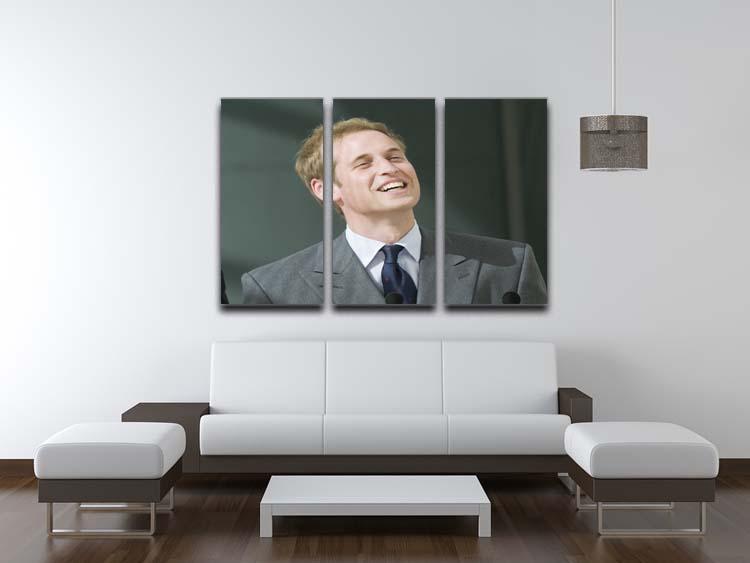 Three-panel canvas art featuring Prince William opening the Darwin Centre Museum, showcasing vibrant colors and elegant design.