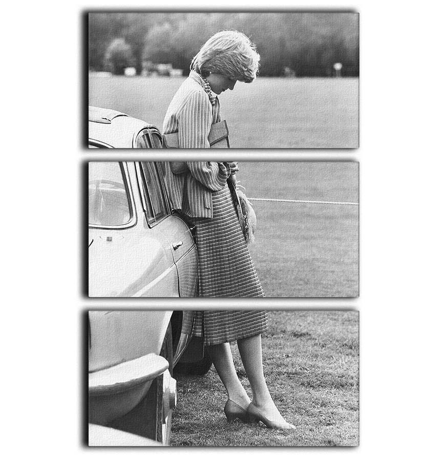 A stunning 3-panel canvas print featuring Princess Diana at a polo match, showcasing elegance and sophistication.