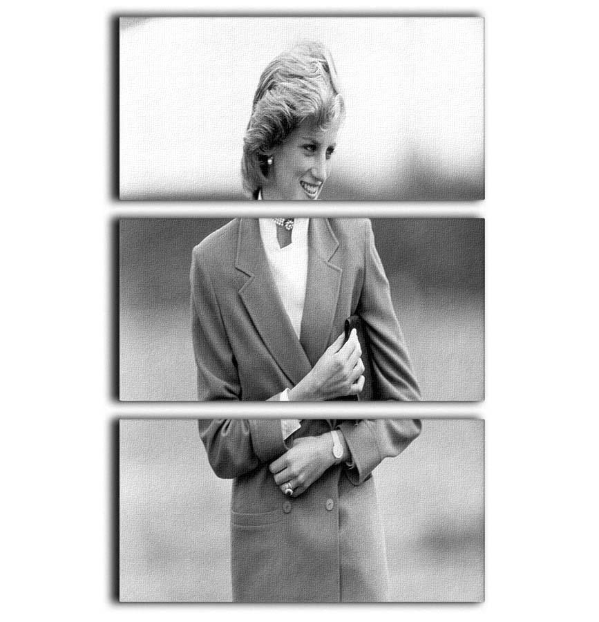A stunning 3-panel canvas art featuring Princess Diana visiting disabled children, showcasing compassion and elegance.