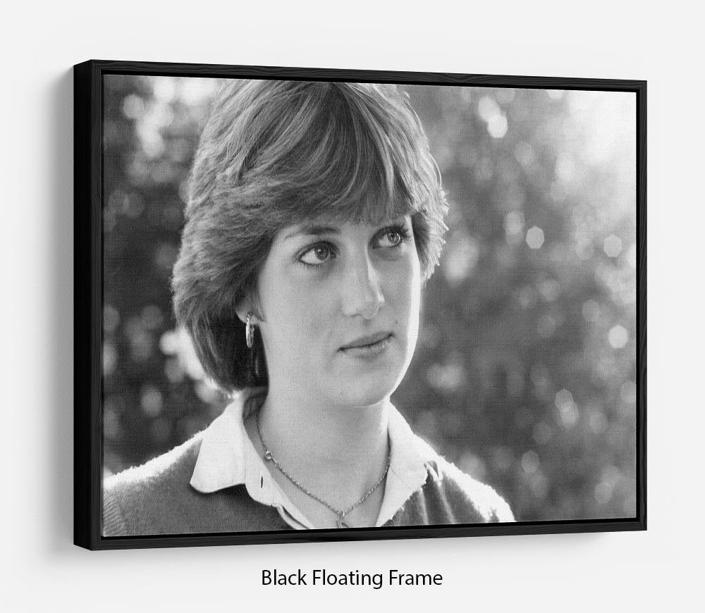 Floating frame featuring Princess Diana meeting the press, showcasing vibrant colors and elegant design.