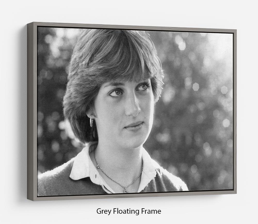 Floating frame featuring Princess Diana meeting the press, showcasing vibrant colors and elegant design.