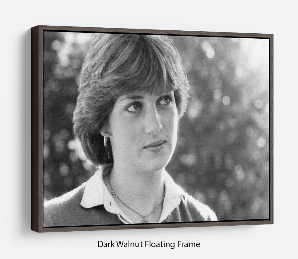 Floating frame featuring Princess Diana meeting the press, showcasing vibrant colors and elegant design.