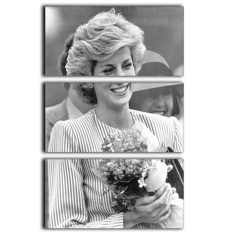 Three-panel canvas art featuring Princess Diana's walkabout in Puckapunyal, showcasing elegance and charm.