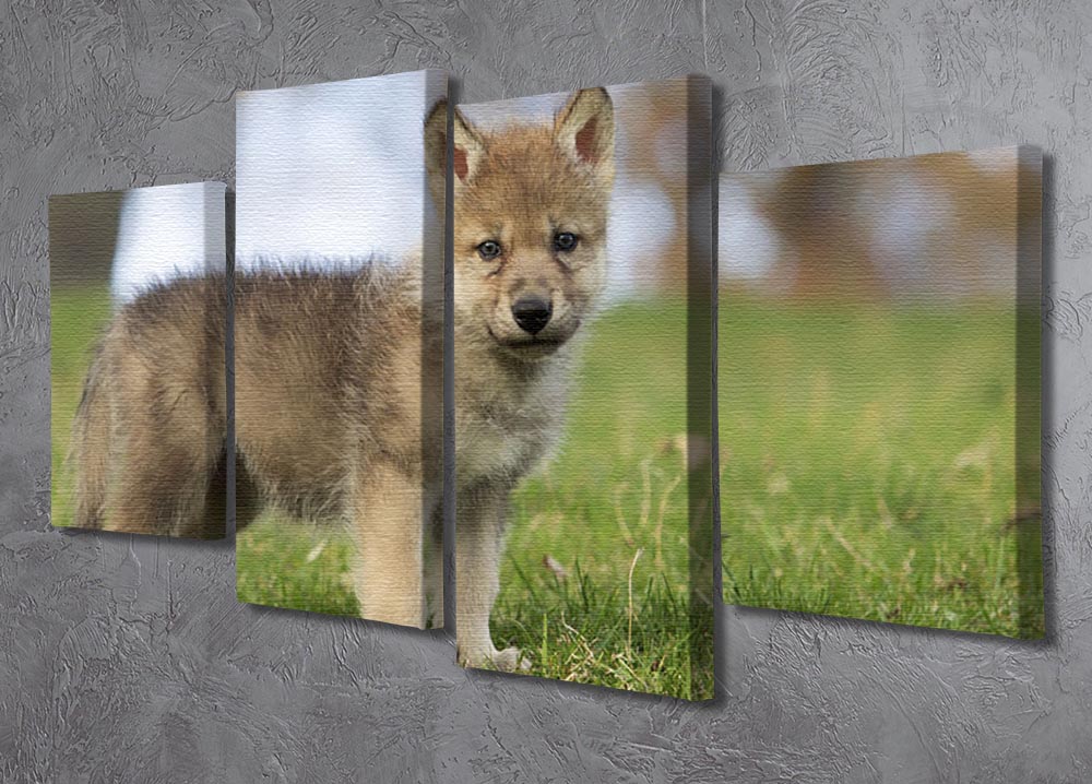 A captivating 4-split canvas artwork featuring a young gray wolf pup, showcasing its playful nature and striking features across four panels.