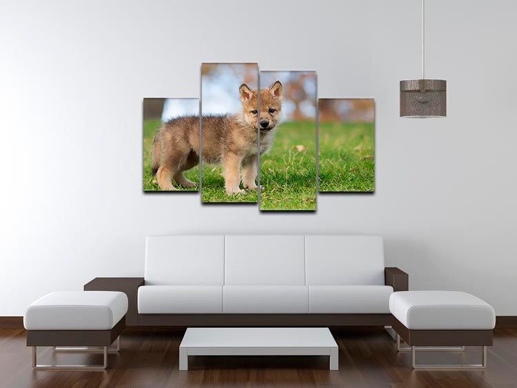 A captivating 4-split canvas artwork featuring a young gray wolf pup, showcasing its playful nature and striking features across four panels.