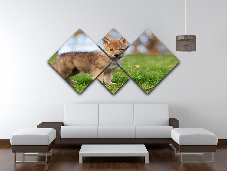 A beautiful 4-square canvas artwork depicting a young gray wolf pup, showcasing its playful nature and striking features.
