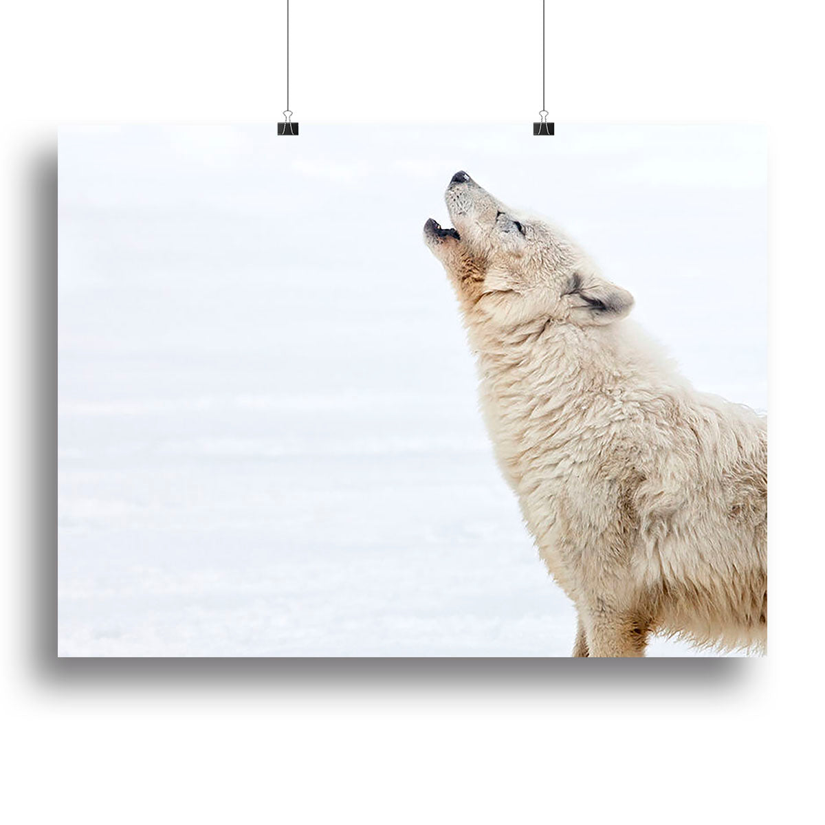 A beautiful canvas print of an Arctic wolf howling against a serene backdrop, showcasing the majestic animal in its natural habitat.