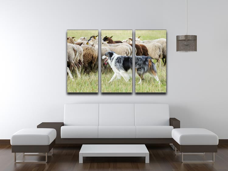 A stunning 3-panel canvas featuring a purebred border collie herding a flock of sheep, showcasing vibrant colors and intricate details.