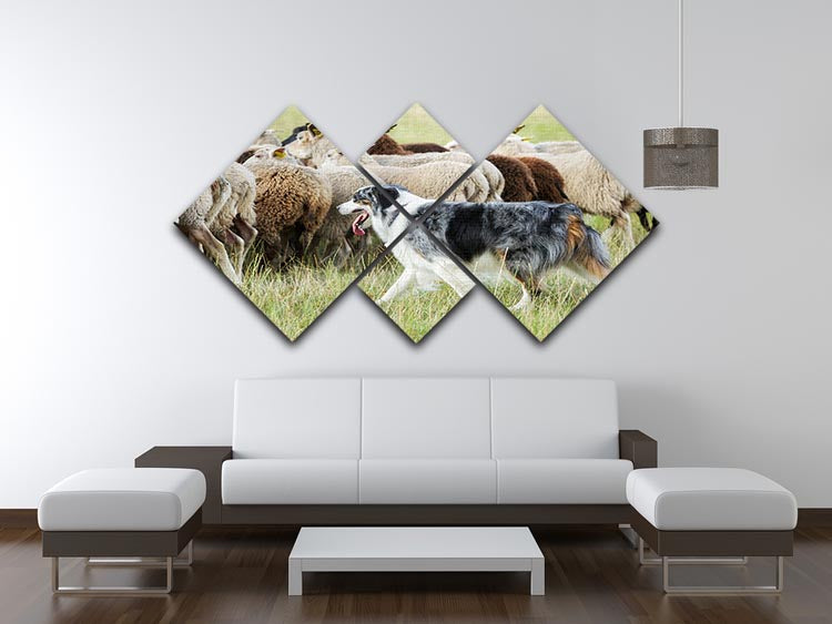A stunning 4-square canvas artwork featuring a purebred border collie herding a flock of sheep, showcasing vibrant colors and dynamic composition.